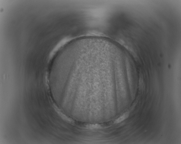 X0000086281454200704051323