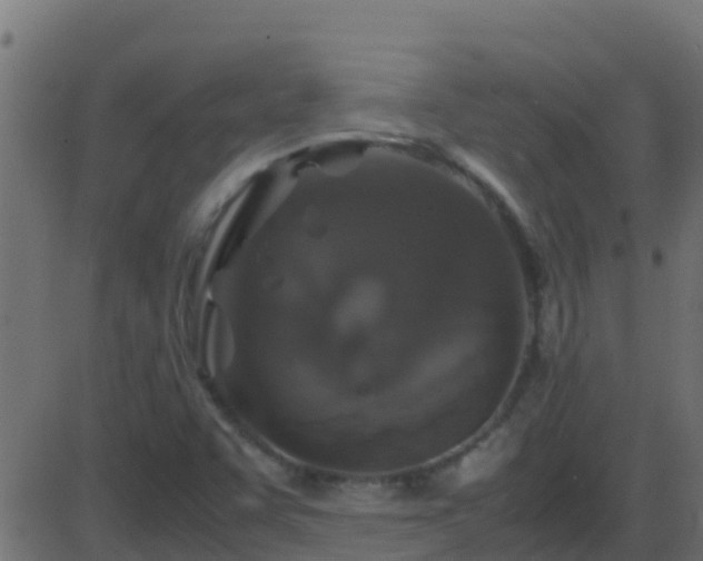 X0000086281455200704051323