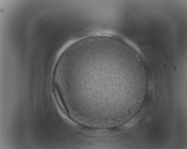 X0000086281471200704051322