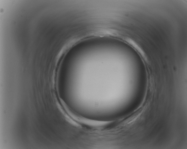 X0000086281477200704051322