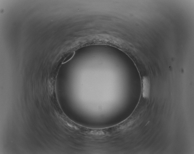 X0000086281491200704051321