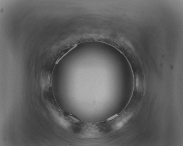 X0000086281492200704051321