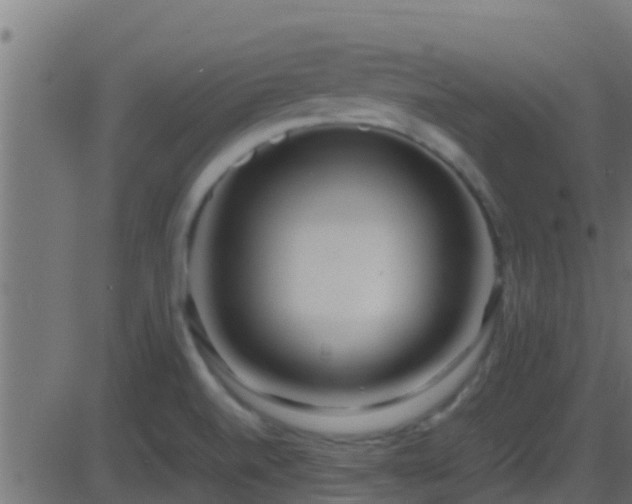 X0000086281520200704051322