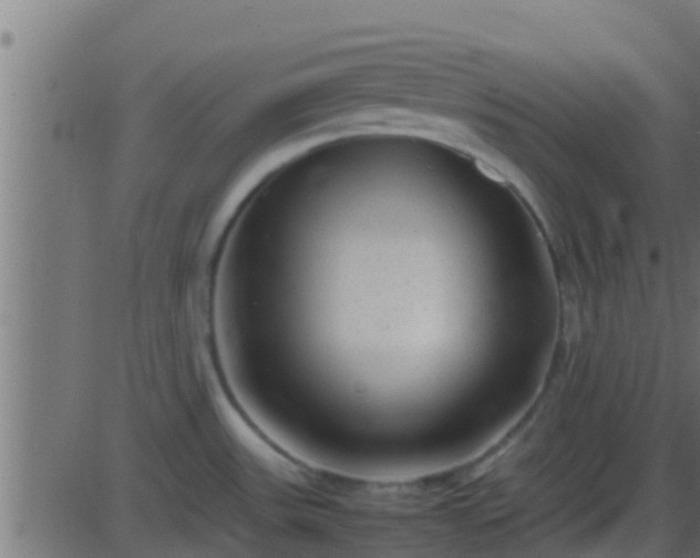 X0000086281531200704051322