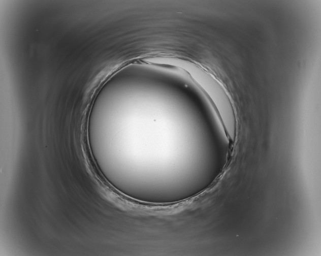 X0000086280001200704122056