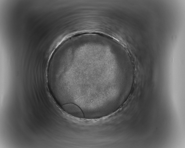 X0000086280002200704122056