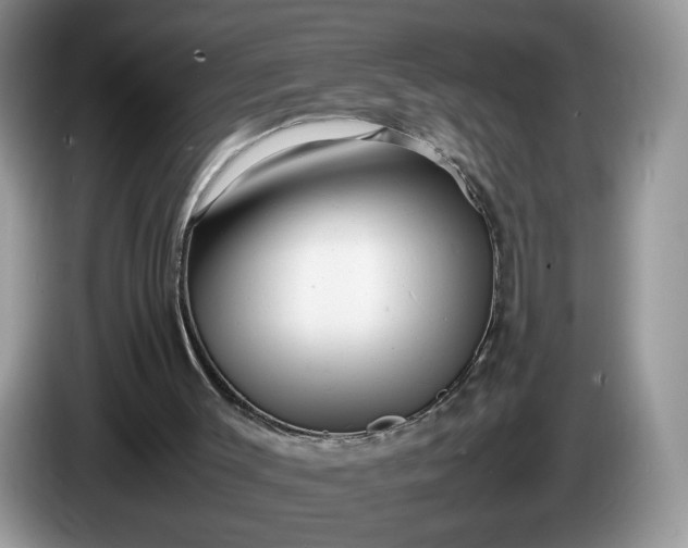 X0000086280003200704122056