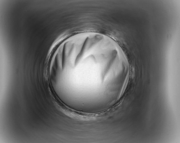 X0000086280004200704122056