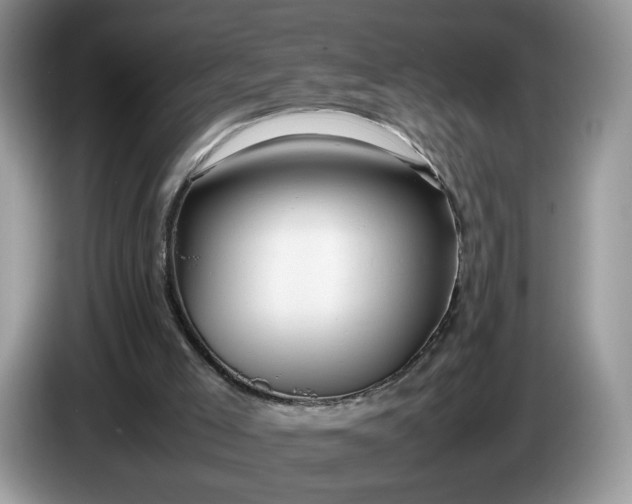 X0000086280005200704122056