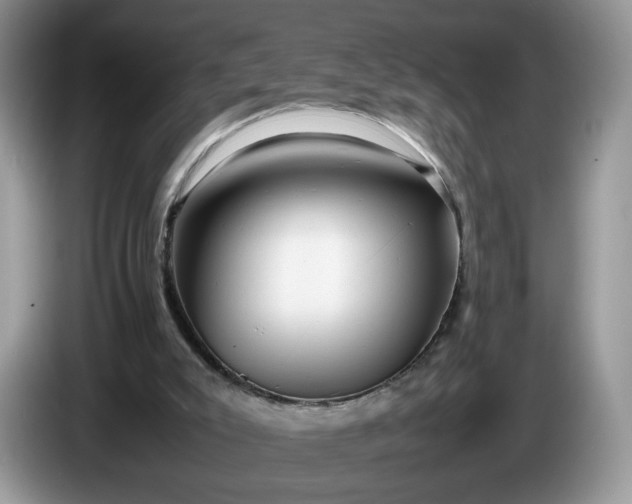 X0000086280007200704122056