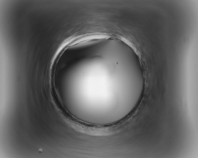 X0000086280008200704122056