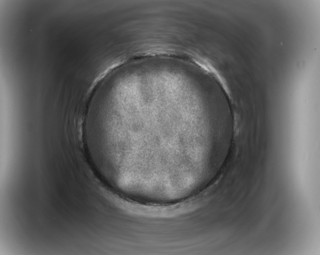 X0000086280010200704122055