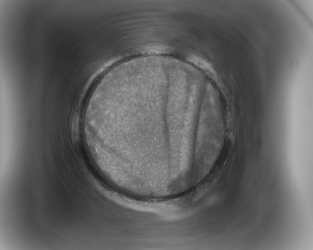 X0000086280012200704122055