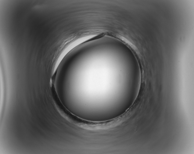 X0000086280013200704122055