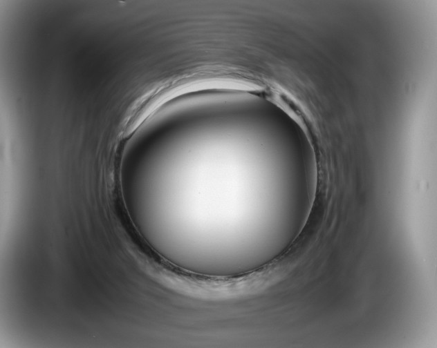 X0000086280015200704122055