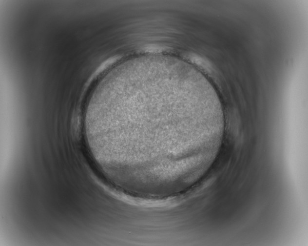 X0000086280016200704122055