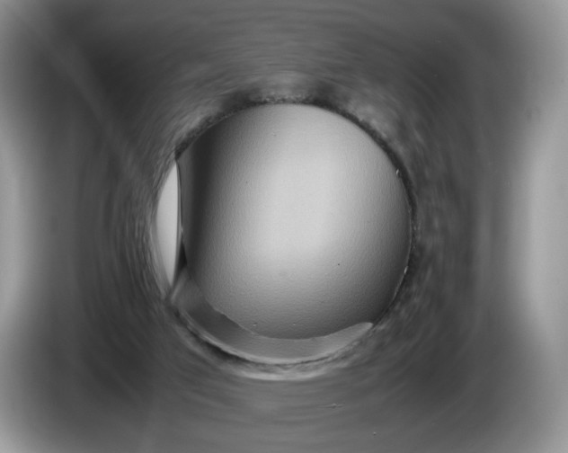 X0000086280017200704122055