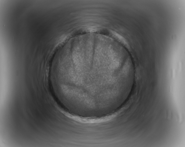 X0000086280018200704122055