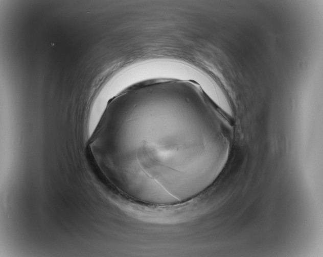 X0000086280019200704122055