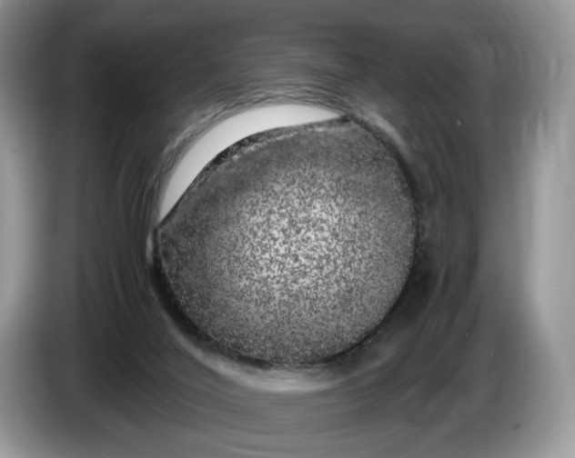 X0000086280020200704122055