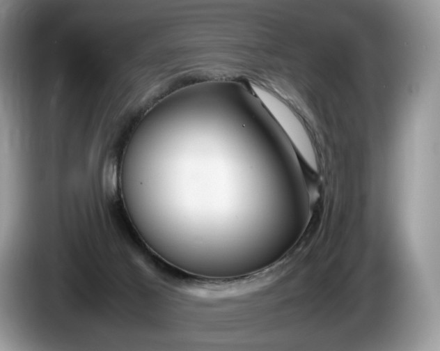 X0000086280021200704122055