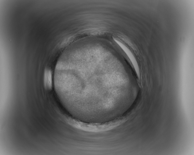 X0000086280022200704122055