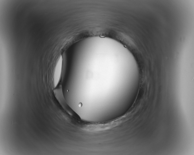 X0000086280025200704122055