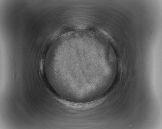 X0000086280026200704122055