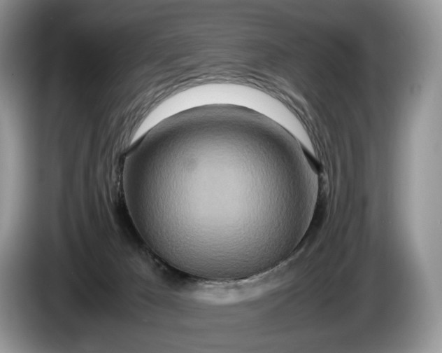 X0000086280029200704122055