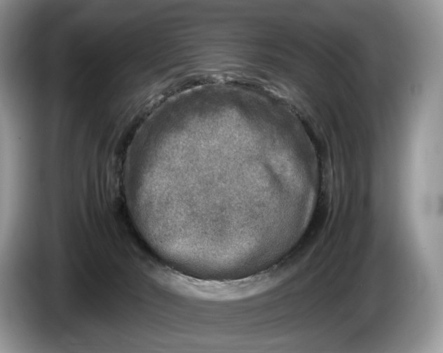 X0000086280030200704122055