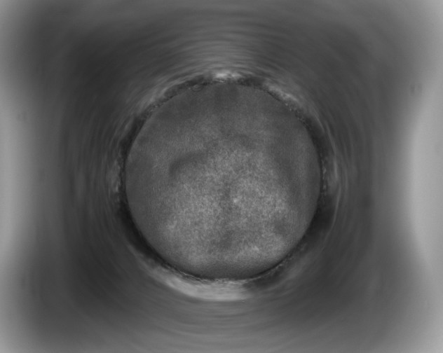 X0000086280032200704122055