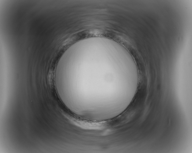 X0000086280036200704122055