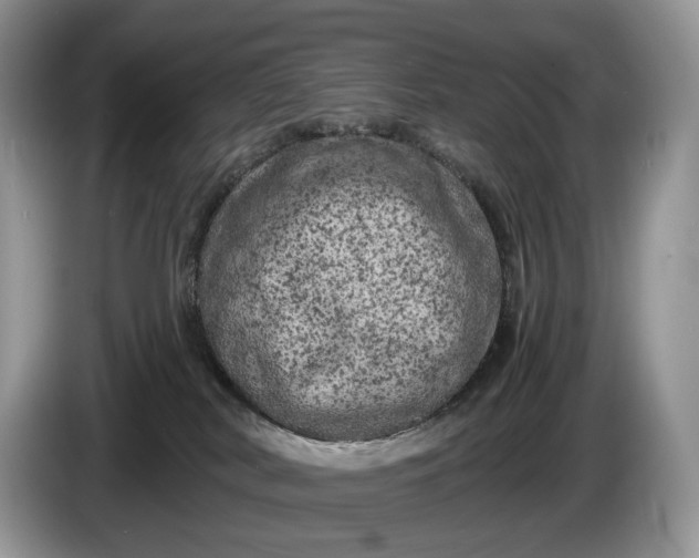 X0000086280038200704122055