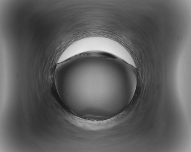 X0000086280039200704122055