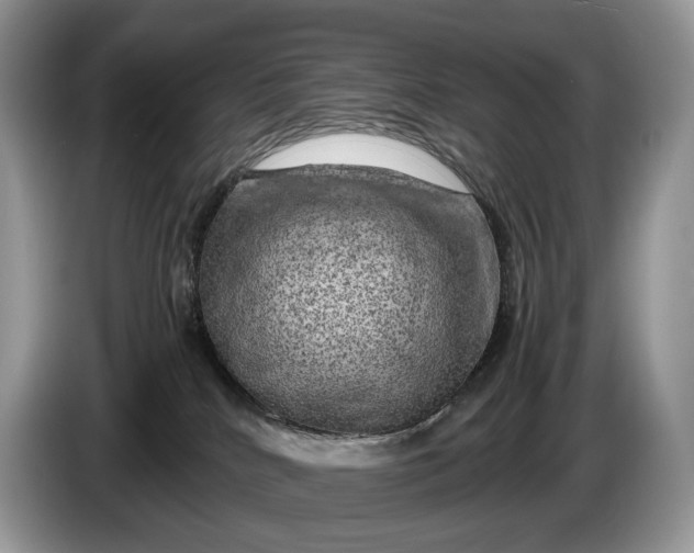 X0000086280040200704122055