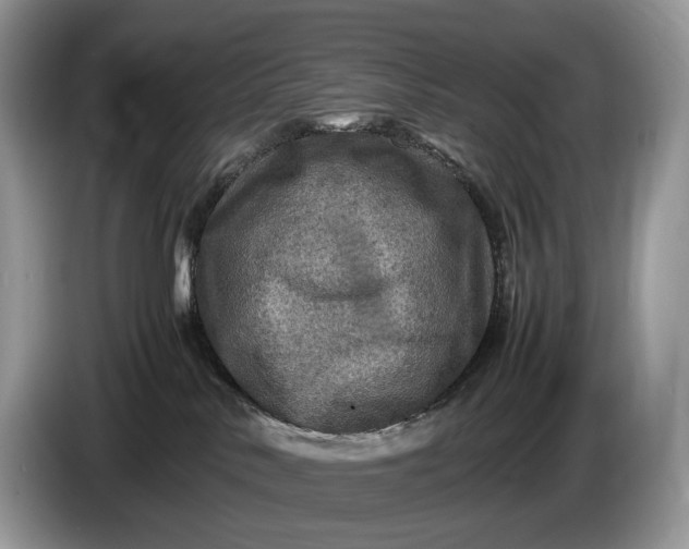 X0000086280042200704122055