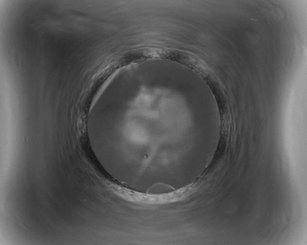 X0000086280043200704122055