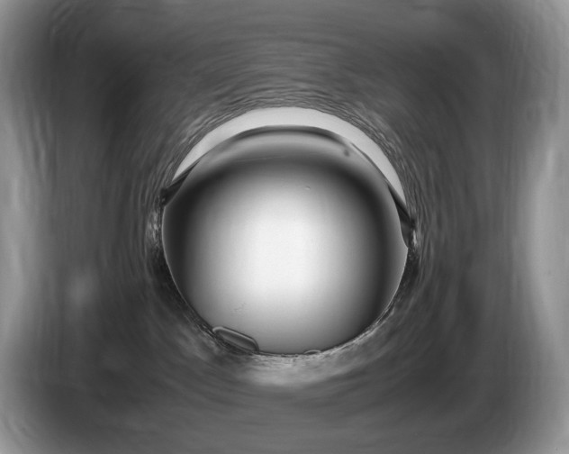 X0000086280045200704122055