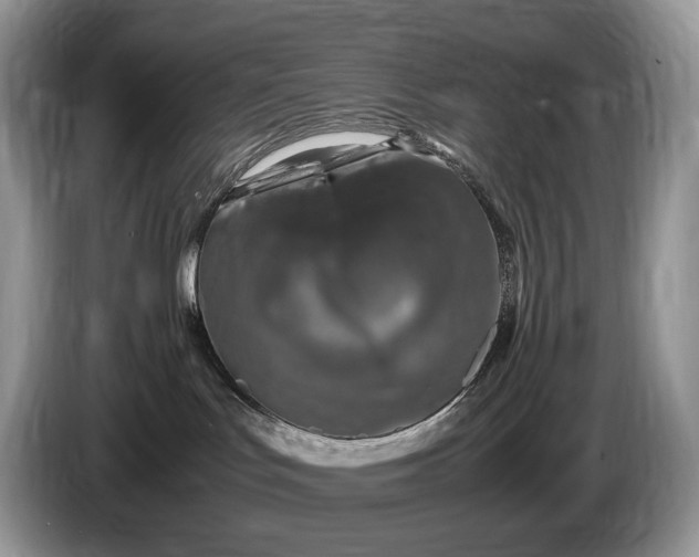 X0000086280047200704122055