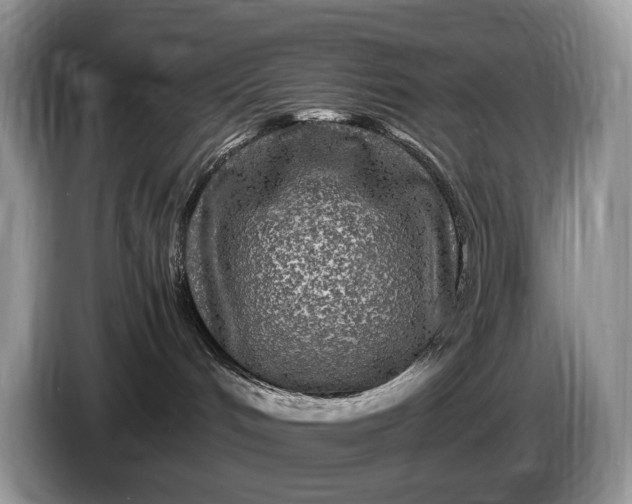 X0000086280048200704122055