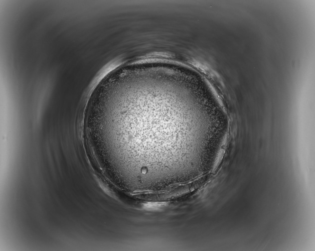 X0000086280051200704122055