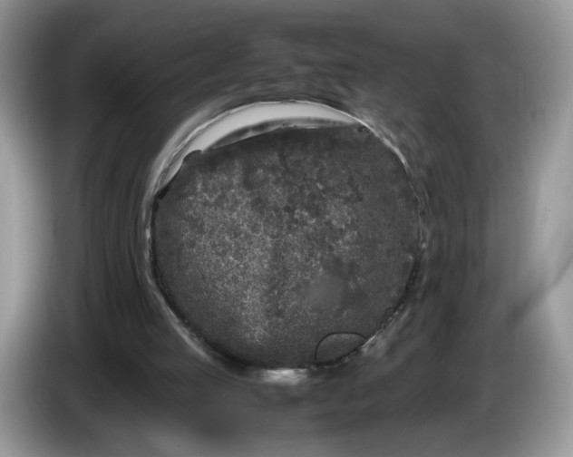 X0000086280053200704122055