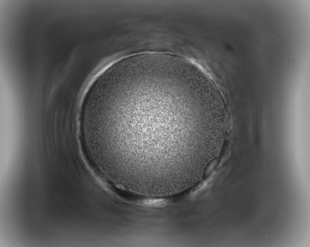 X0000086280055200704122055