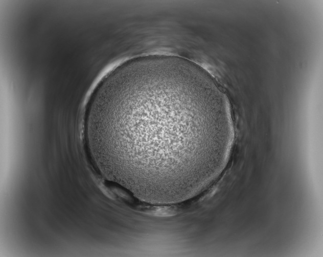 X0000086280056200704122055