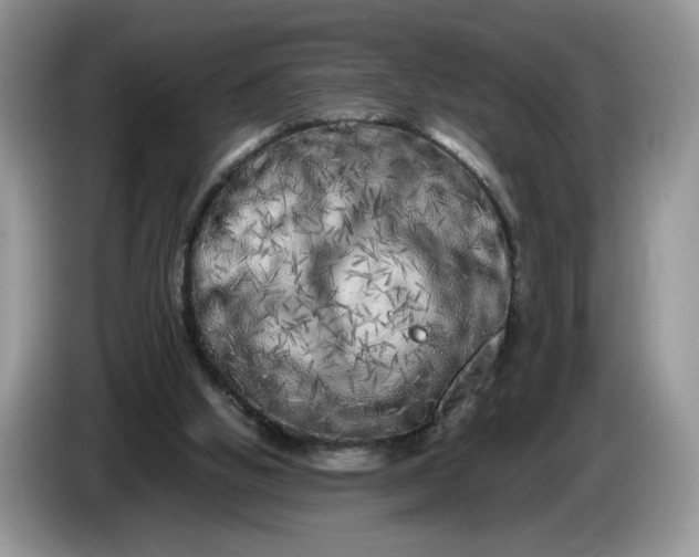 X0000086280058200704122055