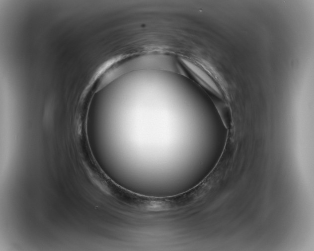 X0000086280060200704122055