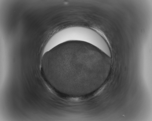 X0000086280061200704122055