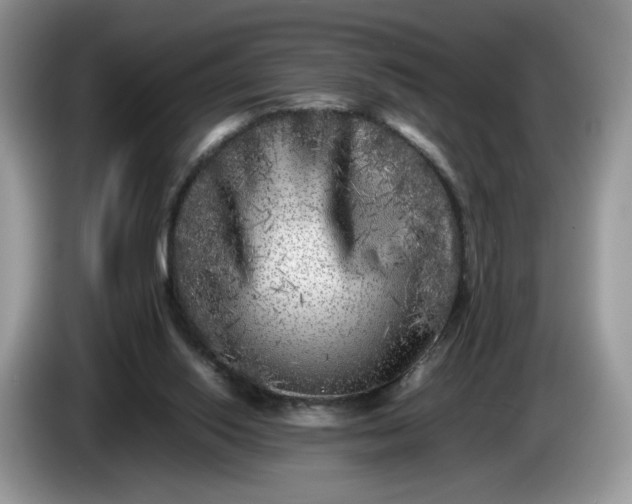 X0000086280062200704122055