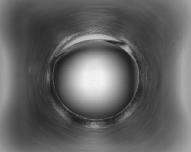 X0000086280064200704122055