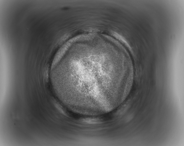 X0000086280065200704122055